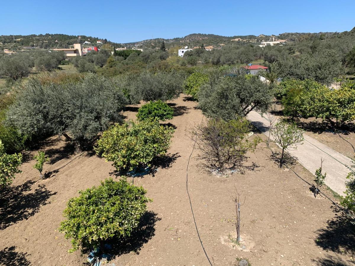 Secret Edem Villa Kolymbia Exterior photo