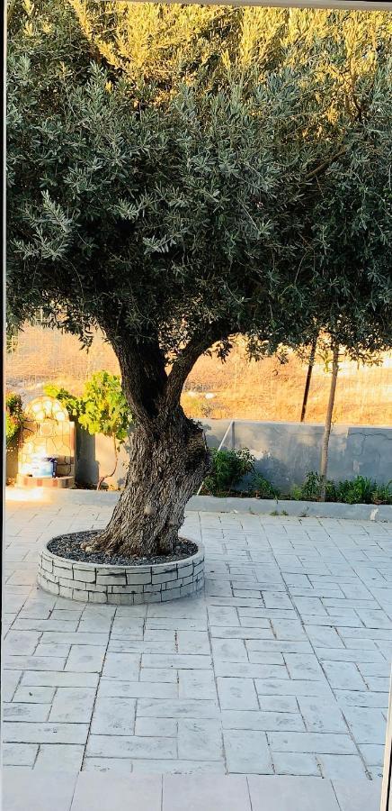 Secret Edem Villa Kolymbia Exterior photo